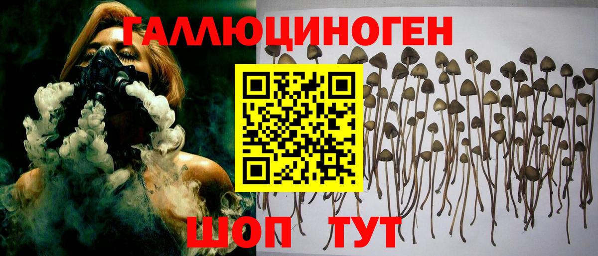 Среднеуральск  Галлюциногенные грибы мицелий  Вход с VPN 